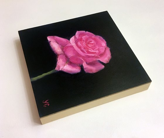 Hot Pink Rose Oil Painting