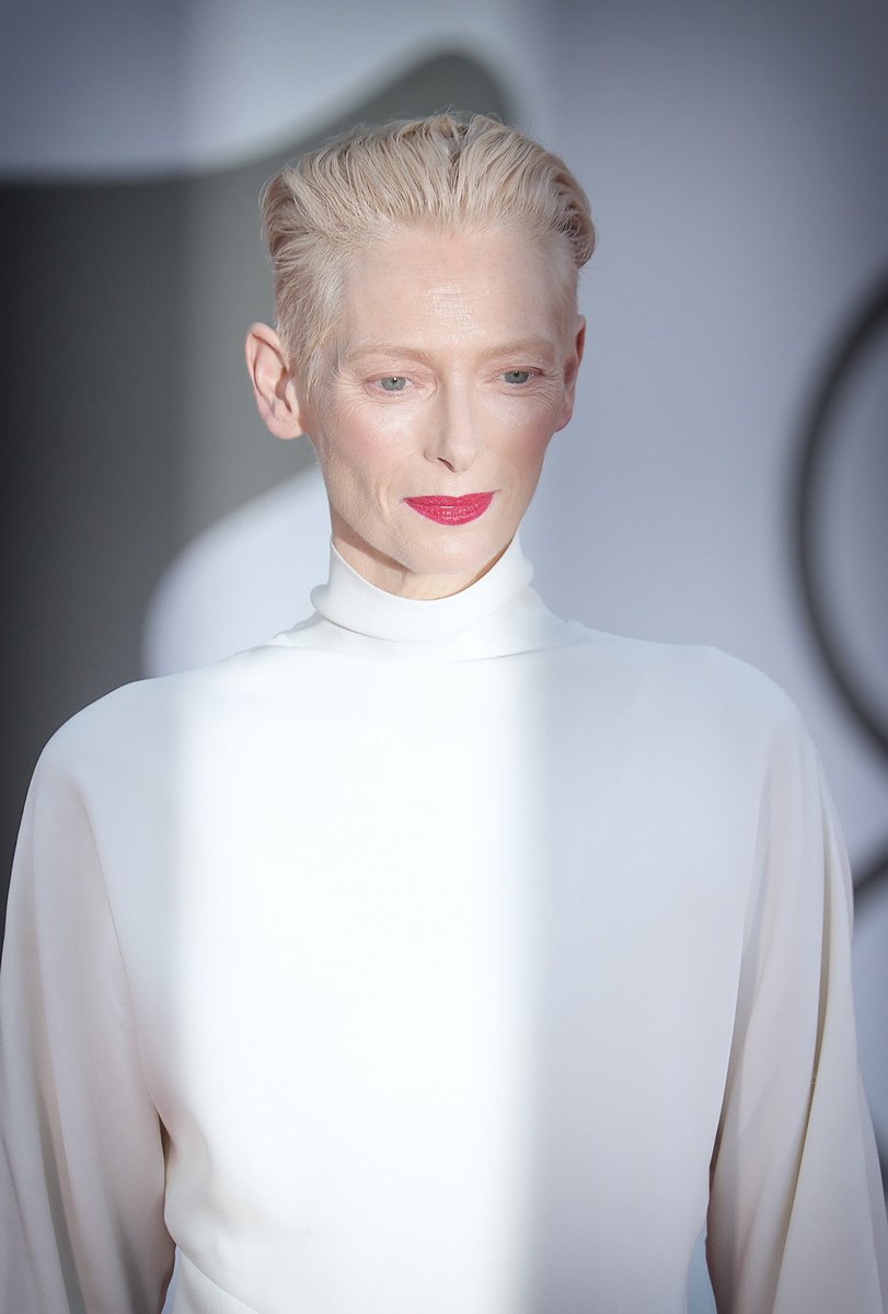 Photorealistic Portrait Photograph By Matteo Chinellato, 12 X 17", Tilda Swinton, Original Artwork