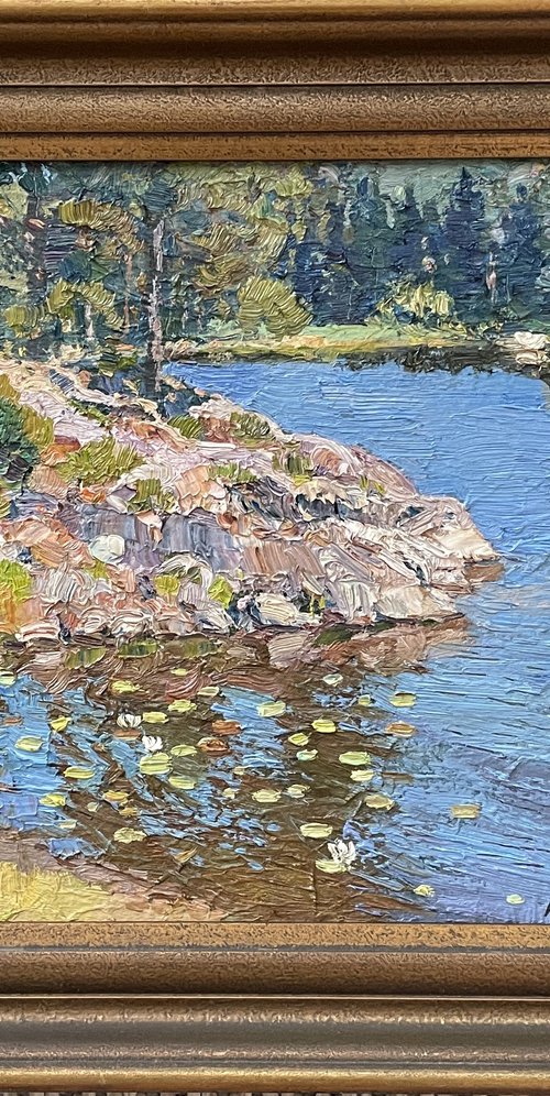 Forest lake by Nadezda Stupina