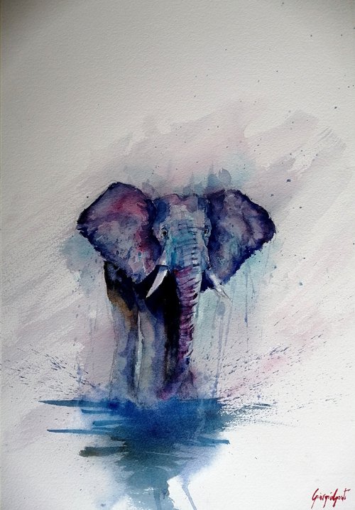 elephant 6 by Giorgio Gosti