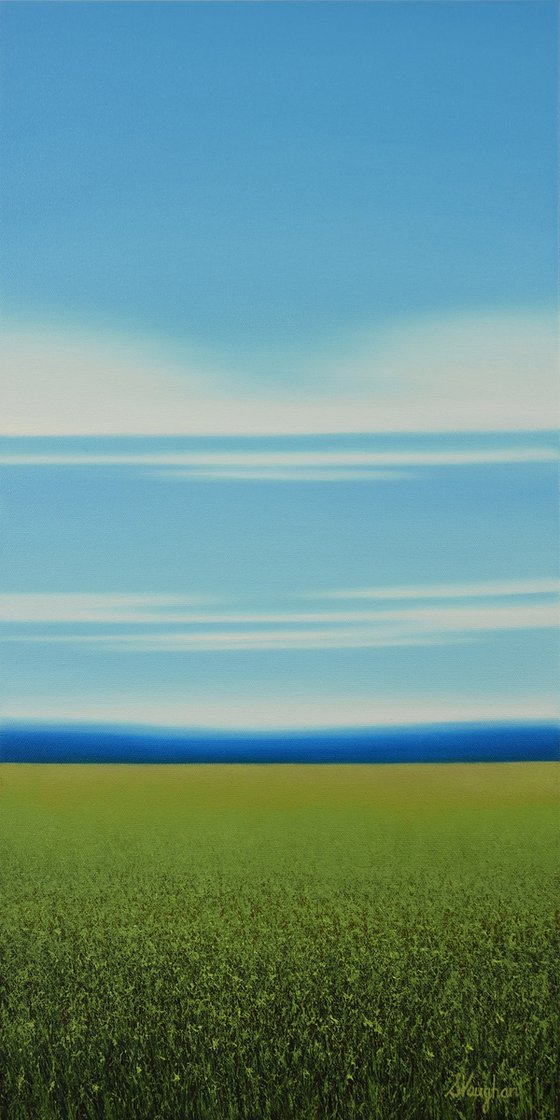 Summer Meadow - Blue Sky