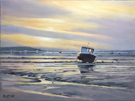 Golden Evening - Taw Estuary.