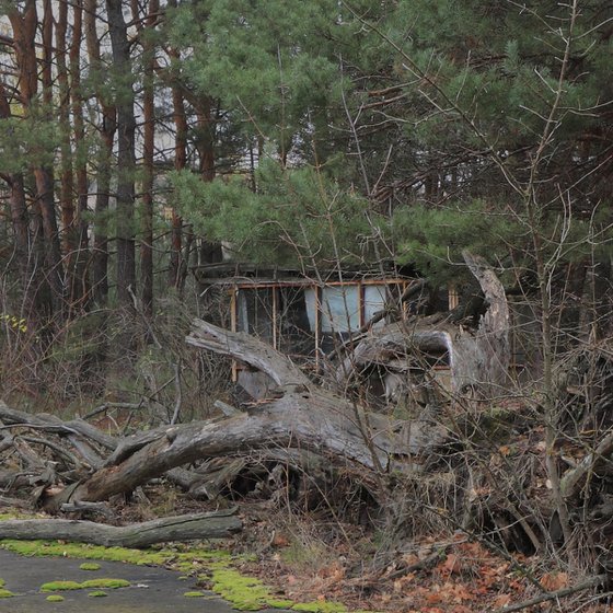 #58. Pripyat. Behind bus station 1 - XL size