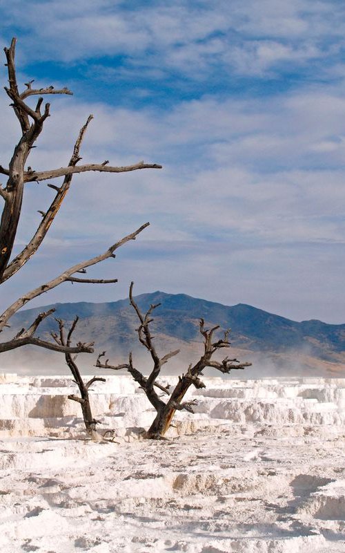 The Travertine Terraces by Alex Cassels