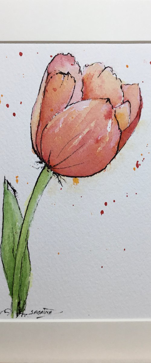 Red tulip by Sabrina’s Art