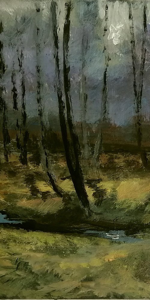 Forest Stream by Alan Harris