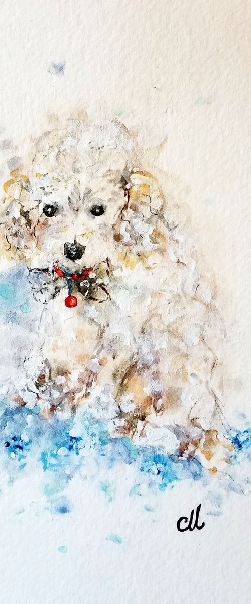 Puppy cuteness.. by Cristina Mihailescu
