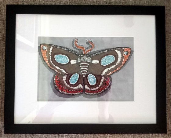 Little Moth