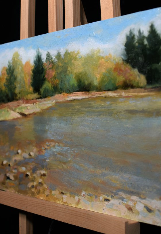 Shallow forest pond impressionism