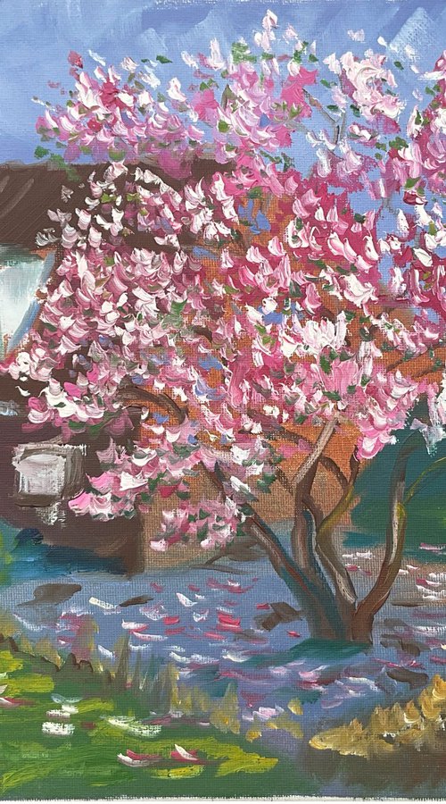 Blooming magnolia in Dalen by Dmitry Fedorov