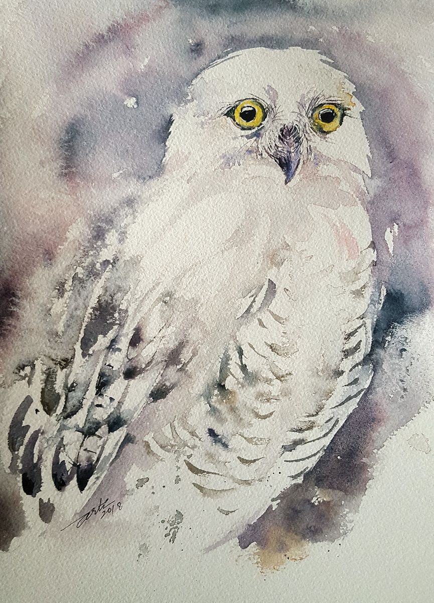 Snowy Owl Shaz by Arti Chauhan