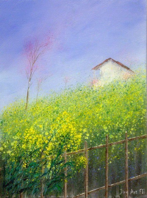 Yellow flower of Canola  around a farmhouse by Jing Tian