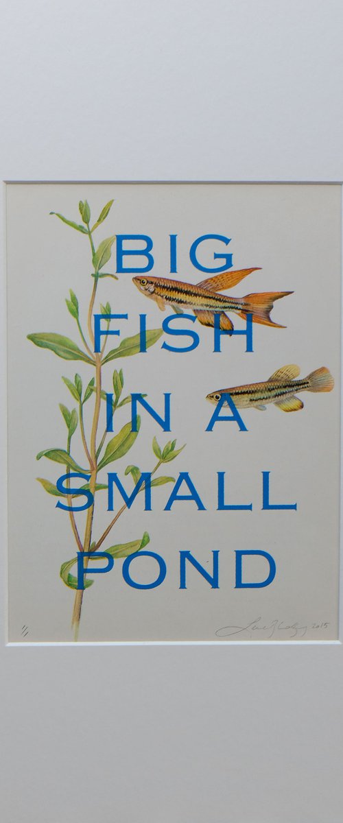 Big fish in a small pond by Lene Bladbjerg