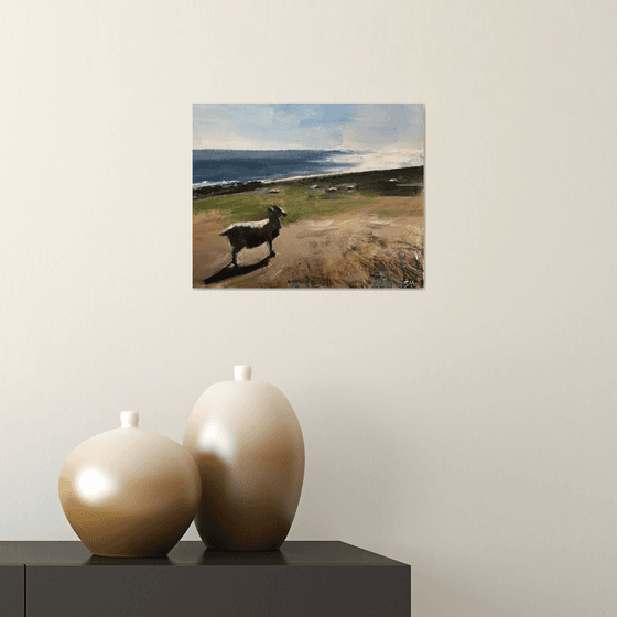 Northumberland Sheep
