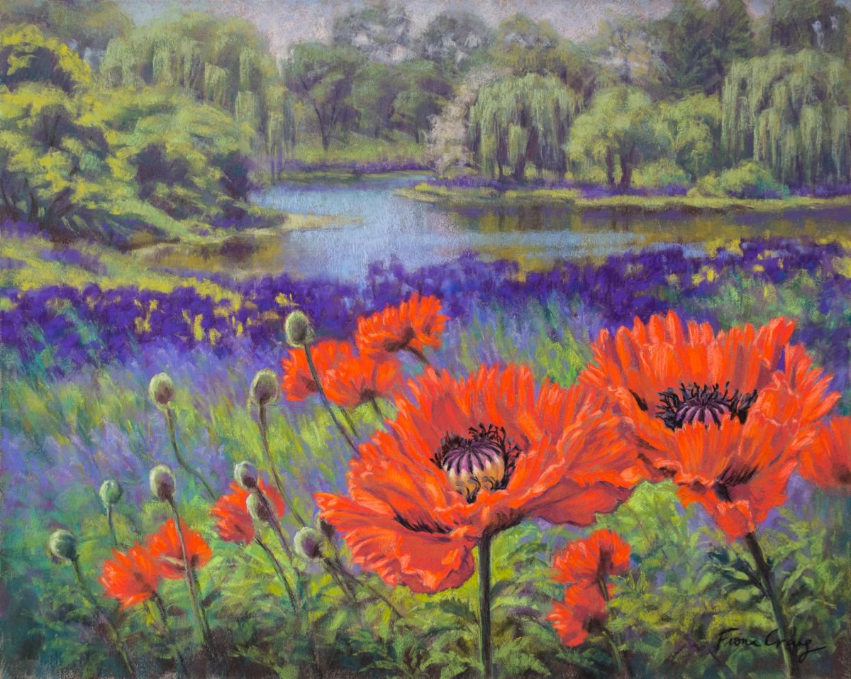 Red Poppies, 1 by Fiona Craig