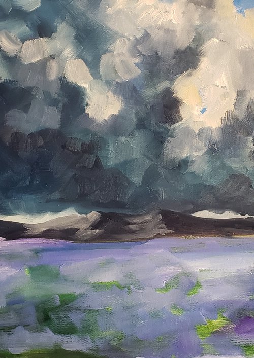 "Field of Flax" - Landscape - Mountains - Storms by Katrina Case