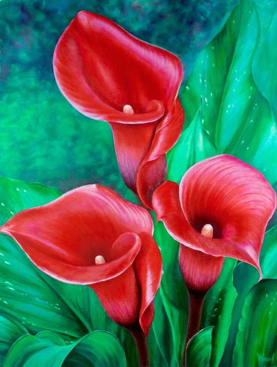 Red calla lilies.
