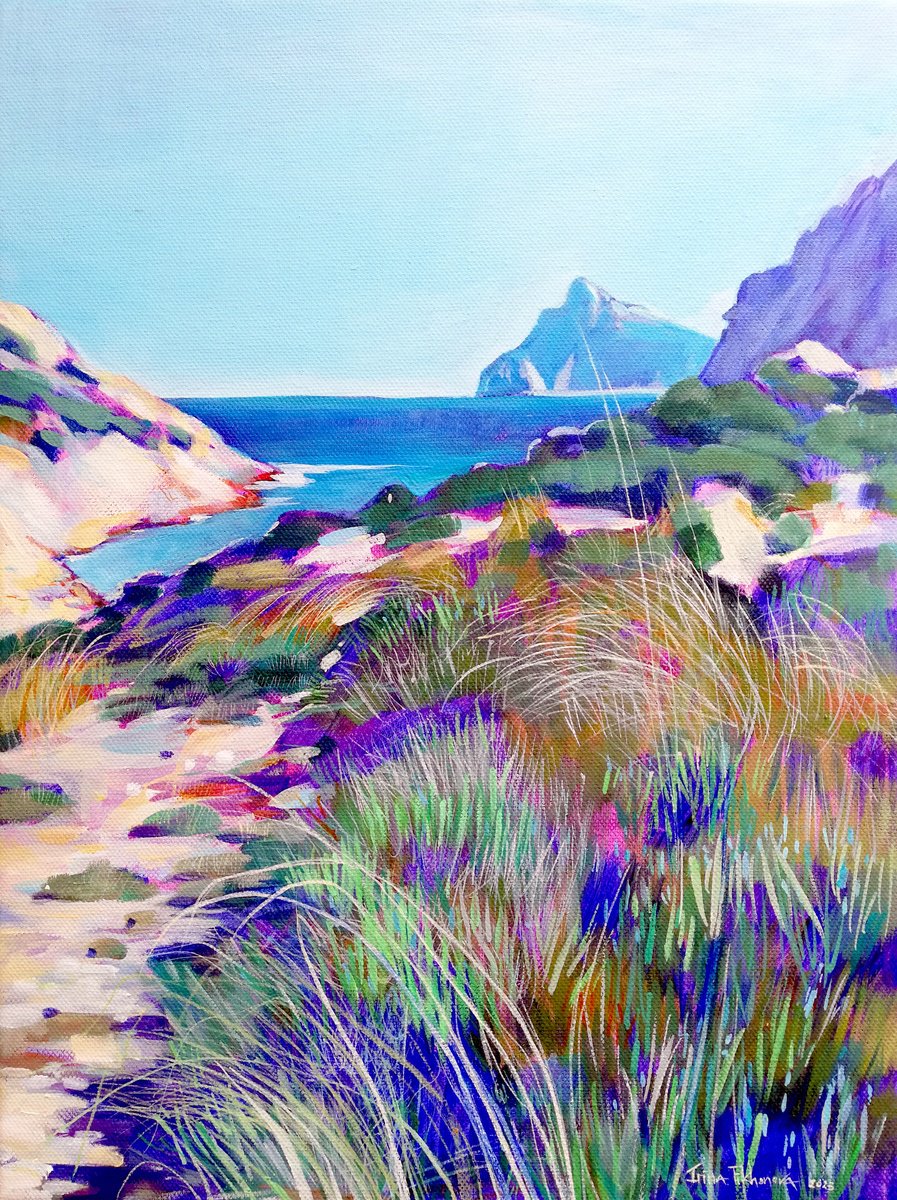 Cala Boquer by Irina Tikhonova