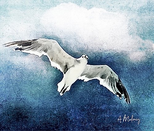 Soar Above The Rest by Alison Maloney