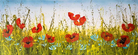 Meadow Poppies