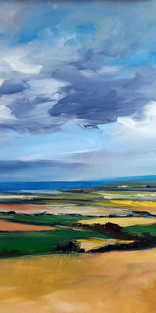 Early Summer Landscape by Steve Keenan