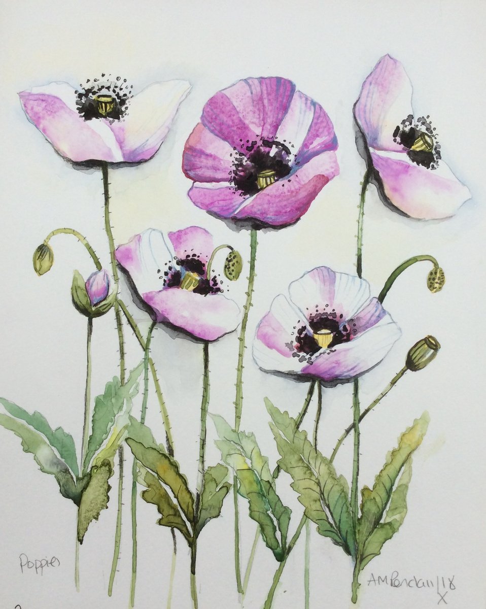 Purple Poppies by Angela Rendall