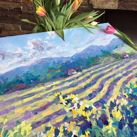 "The vineyards of Haloze"