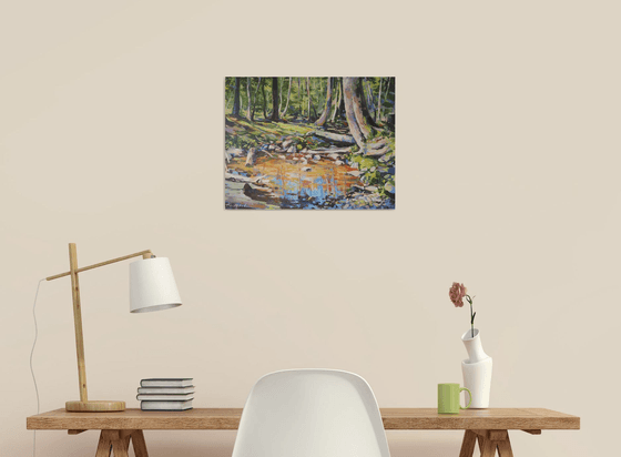 Sunny stream 2