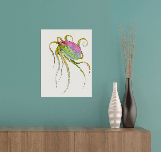 Colorful Octopus