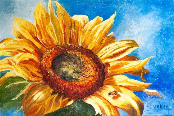 Sunny flower , Sunflower