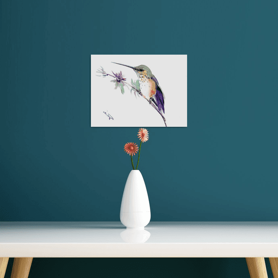 Hummingbird