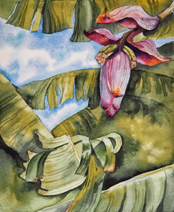Banana flower - tropical palms original watercolor green