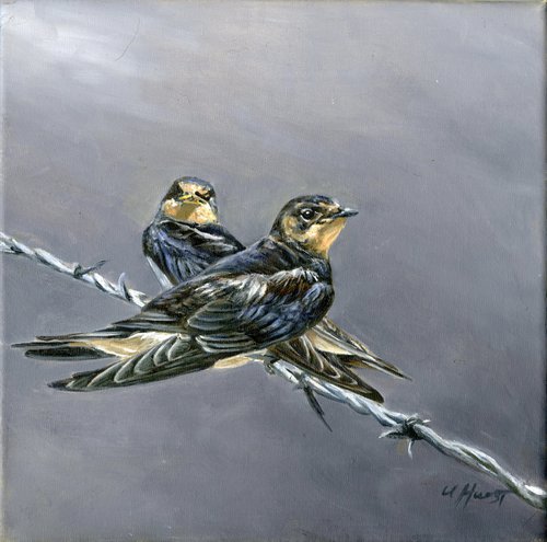 Swallows on a wire by Una Hurst