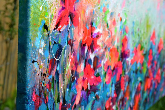 Red Wild Poppies Field at Dusk