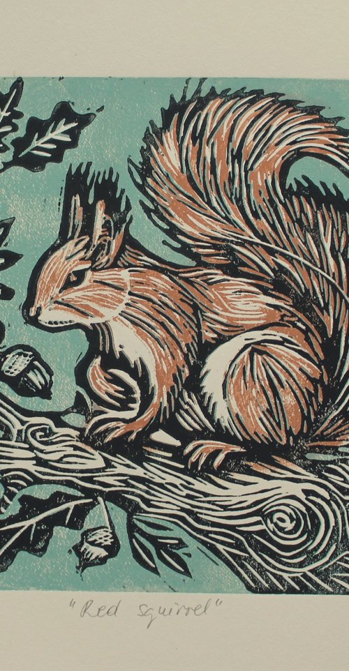 Red squirrel (ivory paper) by Joanna Plenzler