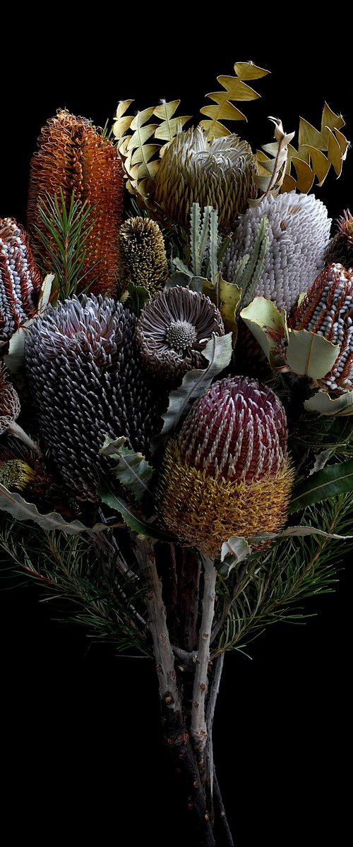 Banksia Bouquet by Nadia Culph
