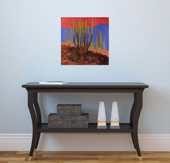 Evening Light. Cactuses