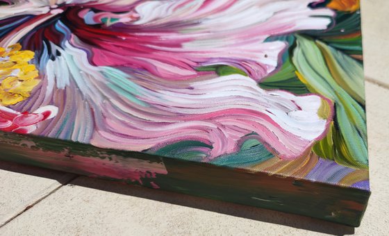 Rose Mallow