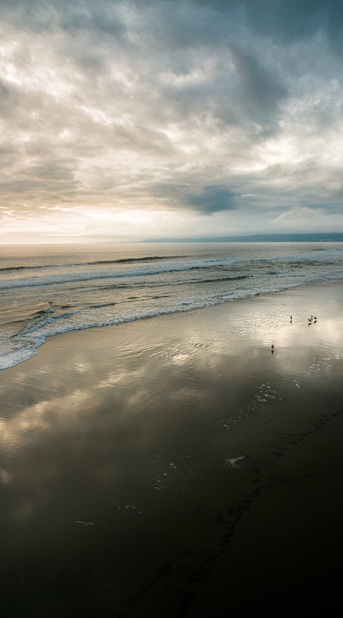 VENICE BEACH CALLS by Harv Greenberg