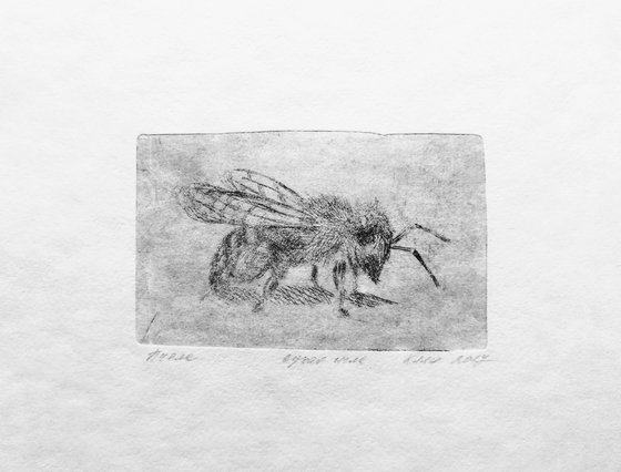 Bee