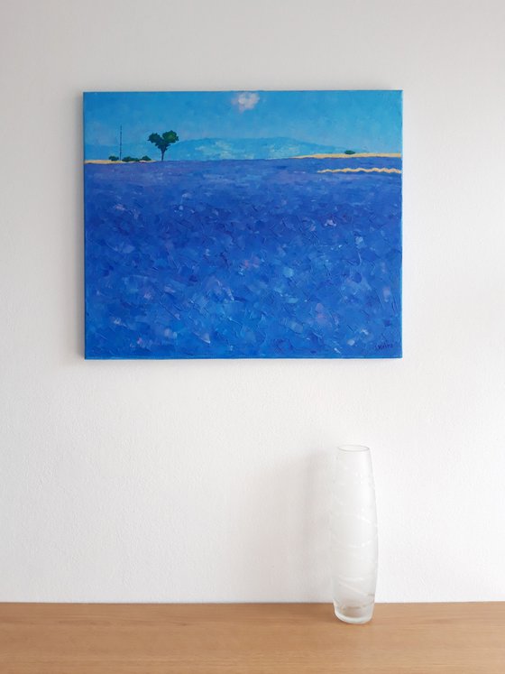 Abstract lavender field