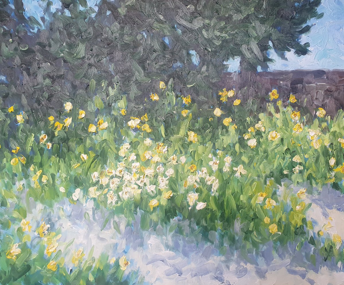 Daffodils by Colin Ross Jack