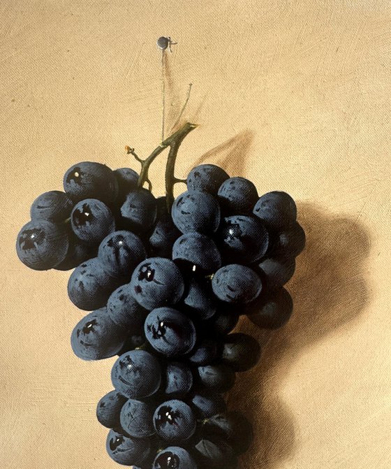 Black Grapes II
