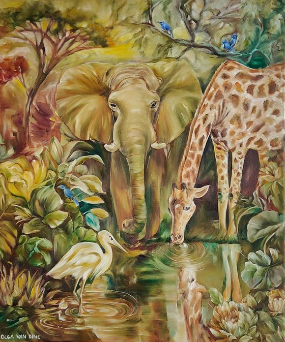 Safari