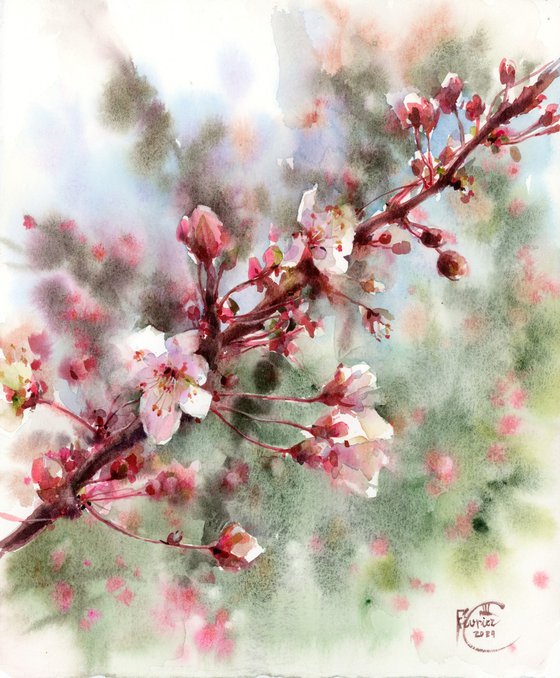 Japanese Garden