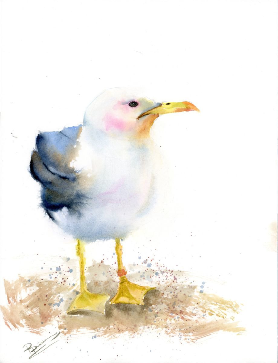 Seagull by Olga Shefranov (Tchefranova)