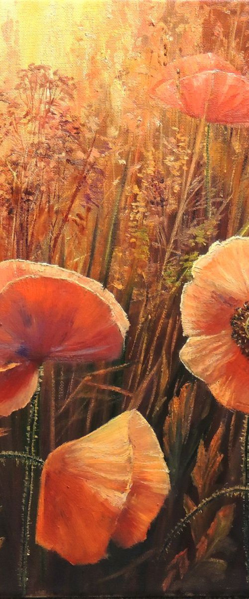 The Wild Poppies by Diana Janson