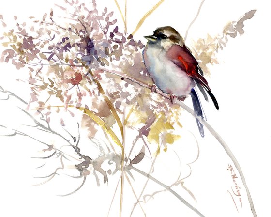 Sparrow Bird and dry flowers