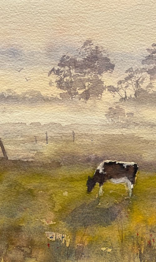 Morning in the country side by Shelly Du