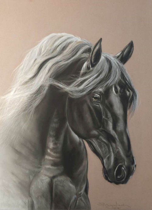 Pastel painting on Paper Horse equines realism  ,, Rico' by Deimante Bruzguliene